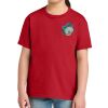 Youth Softstyle ® Midweight Tee Thumbnail