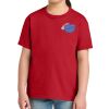 Youth Softstyle ® Midweight Tee Thumbnail